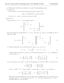 Iterative Lösung großer Gleichungssysteme, UE (106.082
