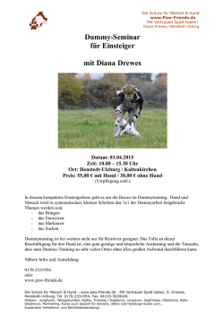 Dummy-Seminar f&uuml;r Einsteiger mit Diana Drewes - Paw