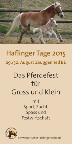 Haflinger Tage 2015 Das Pferdefest für Gross und Klein