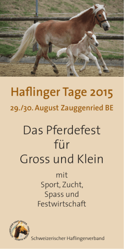 Haflinger Tage 2015 Das Pferdefest f&uuml;r Gross und Klein
