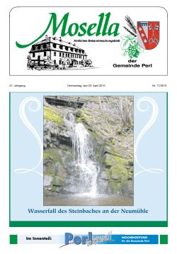Wasserfall des Steinbaches an der Neumühle