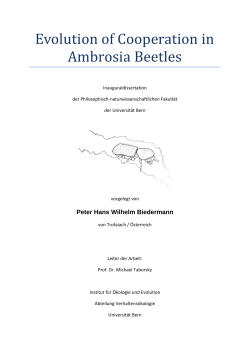 Evolution of Cooperation in Ambrosia Beetles Inauguraldissertation