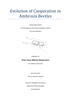Evolution of Cooperation in Ambrosia Beetles Inauguraldissertation