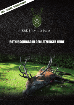 HA_Letzlinger Heide Rothirsch.indd