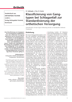 Fachartikel 03/15 Klassifizierung von Gangtypen bei