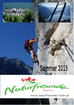 NF Sommerprogramm 2015