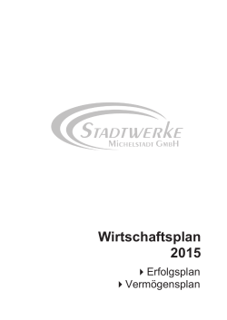 Wirtschaftsplan der Stadtwerke Michelstadt GmbH 2015