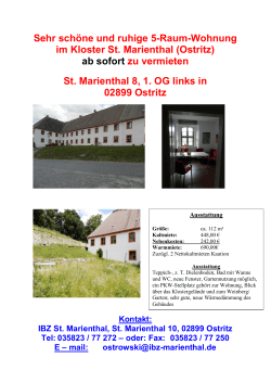 5-Raum Wohnung in Ostritz - Ibz