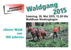 Waldgang 201 5