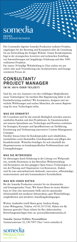 CONSULTANT/ PROJECT MANAGER