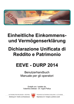Einheitliche Einkommens- und Verm&ouml;genserkl&auml;rung Dichiarazione