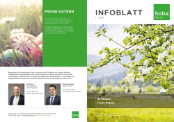 Infoblatt Q1/2015