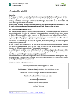Informationsblatt LEADER