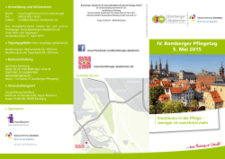 Informationsflyer IV. Bamberger Pflegetag