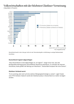 Übersicht: Volkswirtschaften mit der höchsten Glasfaservernetzung