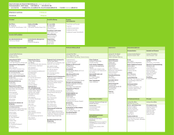 Organisationsplan der Heinrich-Böll-Stiftung e.V., Stand: 30. April