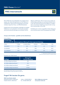 Infoblatt PMG Internetrecht
