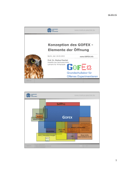 GOFEX - Markus Peschel