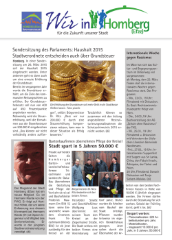 Haushalt 2015 Stadtverordnete entscheiden auch