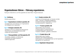 Organisationen führen – Führung organisieren.