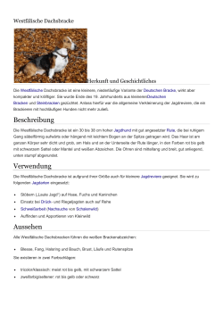 Die Westf&auml;lische Dachsbracke