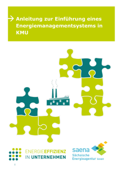 Handreichung zur Einf&uuml;hrung eines EnMS f&uuml;r KMU