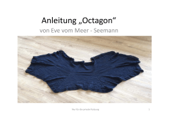 Anleitung Octagon“ Anleitung „Octagon“