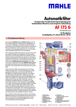 AF 173 G Automatikfilter