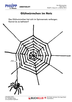 Gl&uuml;hw&uuml;rmchen: Arbeitsblatt (PDF 216 kb)