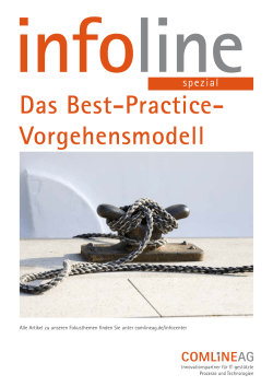 Das Best-Practice- Vorgehensmodell