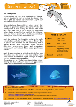 Der Sandtigerhai • Größe: Oft verwechselt mit dem