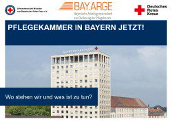 Pflegekammer in Bayern jetzt! Wo stehen wir und was ist zu tun?