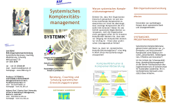 Systemisches Komplexitäts- management