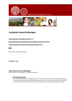Medizinische Fakultät Heidelberg: Laufende Ausschreibungen