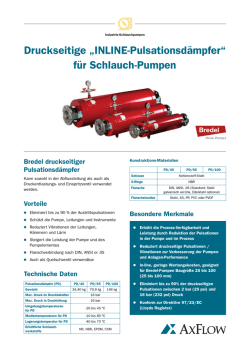 Druckseitige &bdquo;INLINE-Pulsationsd&auml;mpfer&ldquo; f&uuml;r Schlauch