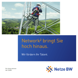 EnBW Flyer Network2 - IEH