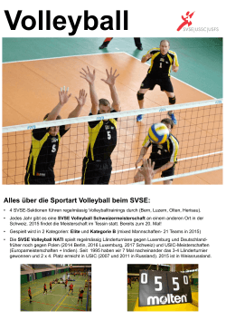 Alles über die Sportart Volleyball beim SVSE:
