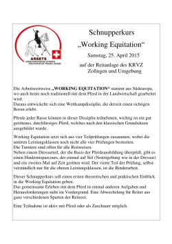 Schnupperkurs Working Equitation 2015