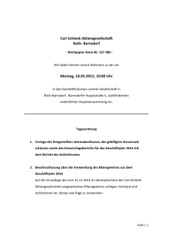 PDF zum - Carl Schlenk AG