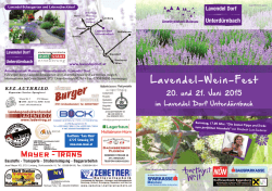 Lavendel-Wein-Fest 2015 - Lavendel