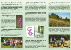 downloaden - Arbeitskreis Heimische Orchideen