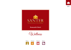 Wellness - Hotel Santer
