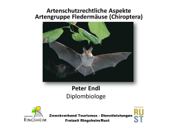 Peter Endl Diplombiologe Artenschutzrechtliche Aspekte