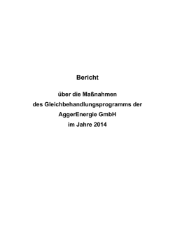 Gleichbehandlungsbericht 2014