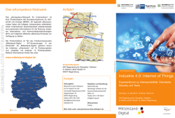 Informations-Flyer  - Wibu
