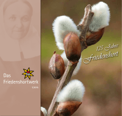PDF-Datei herunterladen - Evangelische Jugendhilfe Friedenshort