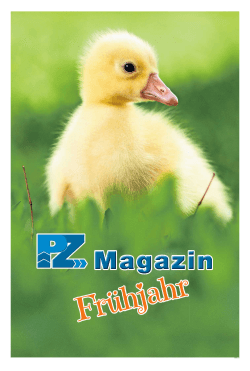 Rückkehr zur weiblichen Silhouette