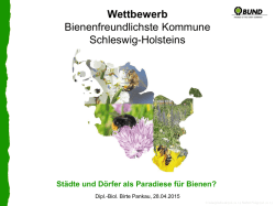 BUND - GRÜNE Fraktion Schleswig