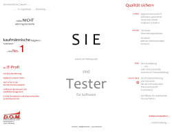 Software Tester Ingolstadt – Qualitätssicherung Innovationsprojekt