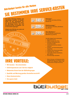 Infos B&uuml;ti Budget Service als PDF